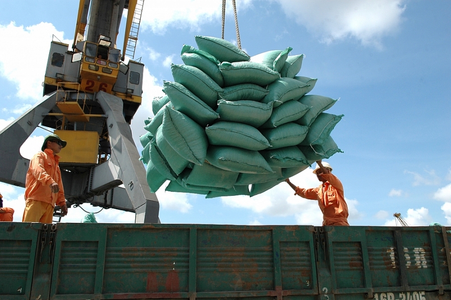Giá gạo xuất khẩu Việt Nam tăng vọt, vượt Thái Lan và Ấn Độ